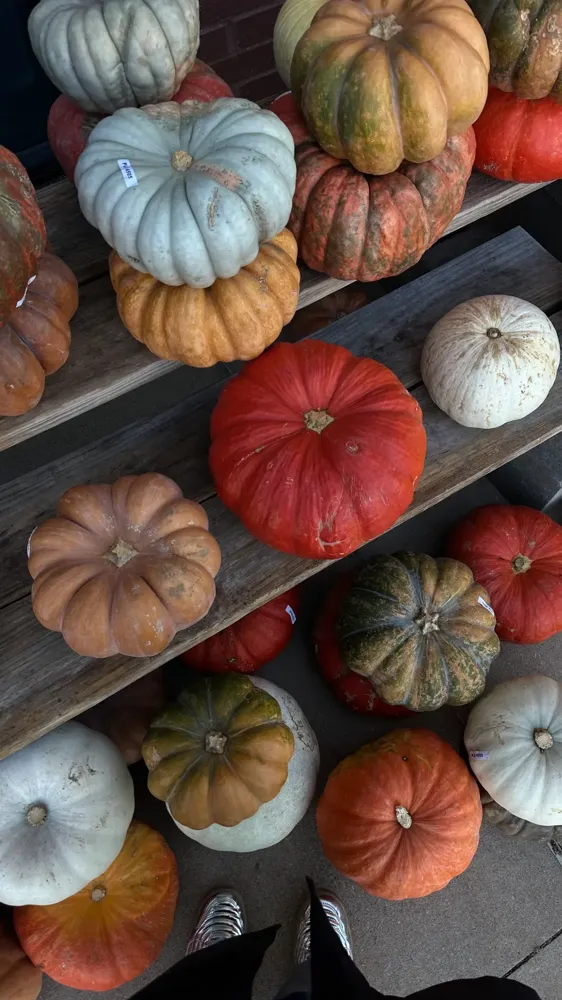 Colors of the harvest